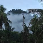La Hulu Hut