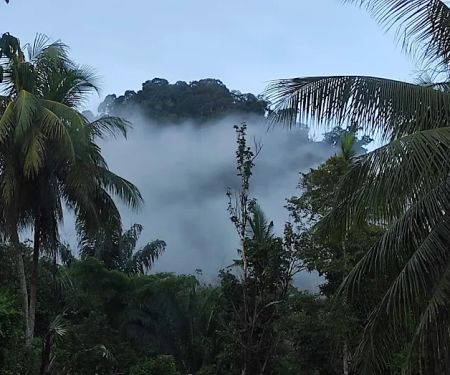 La Hulu Hut