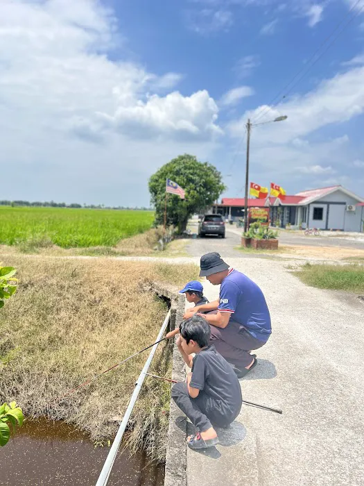 Dahlia Homestay Kuala Selangor Picture 4