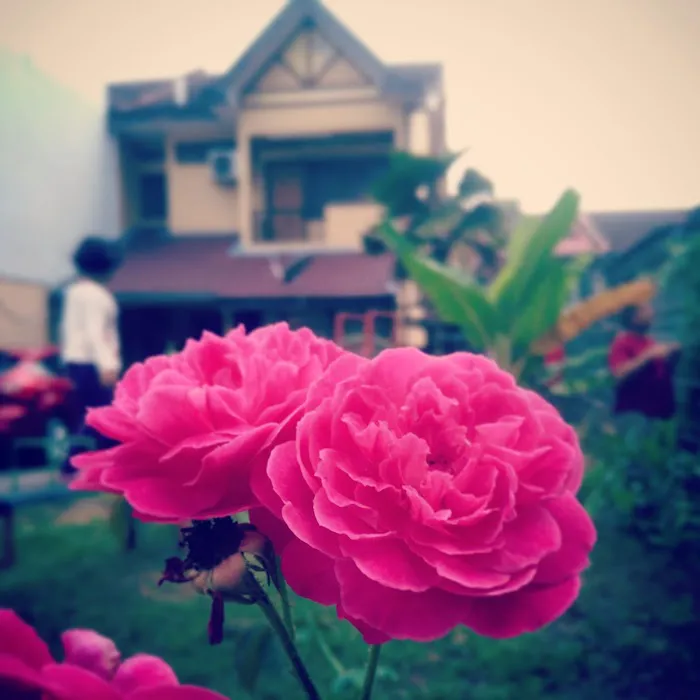 Nusrah Homestay Picture 2