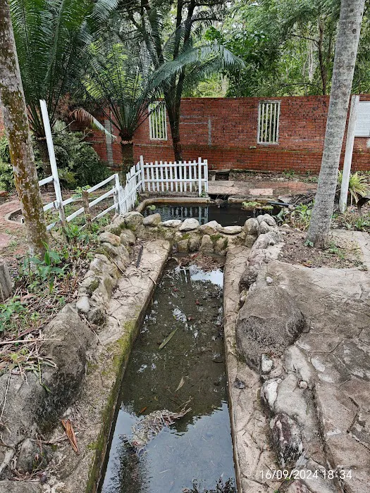 Siba Lodge Guesthouse Picture 5