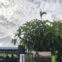 Teratak Damai M.D ico