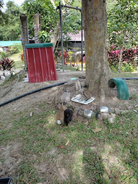 Kem Park Su Chalet Picture 6