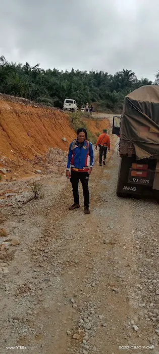 Jambatan sungai berakit ladang alur seri-ulu lepar Picture 6