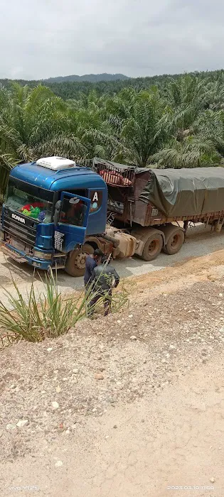 Jambatan sungai berakit ladang alur seri-ulu lepar Picture 9