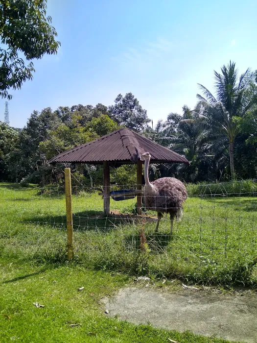 Agro Resort Semuji Picture 4
