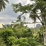 Lie Merapoh Guesthouse