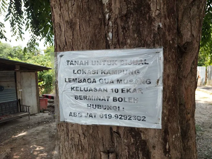 Farah ZU Homestay Picture 1