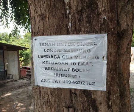 Farah ZU Homestay