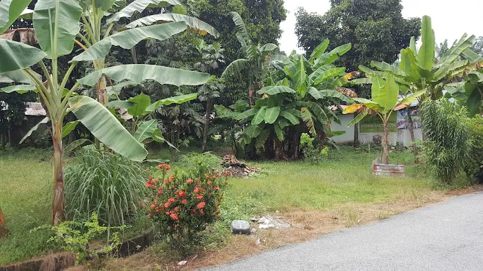 Homestay H & H Picture 4