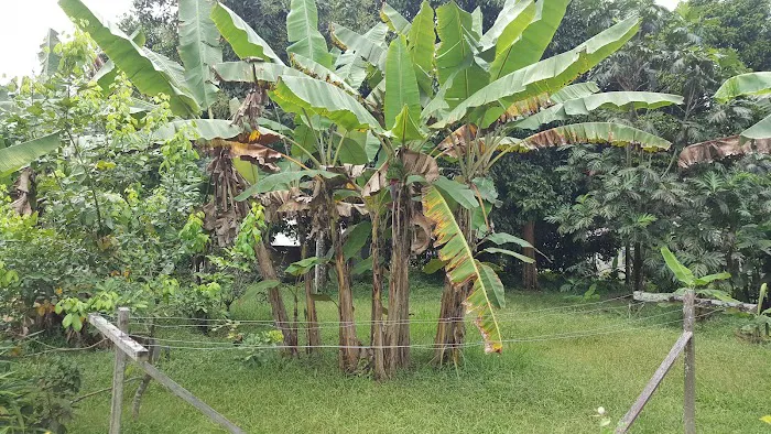 Homestay H & H Picture 2