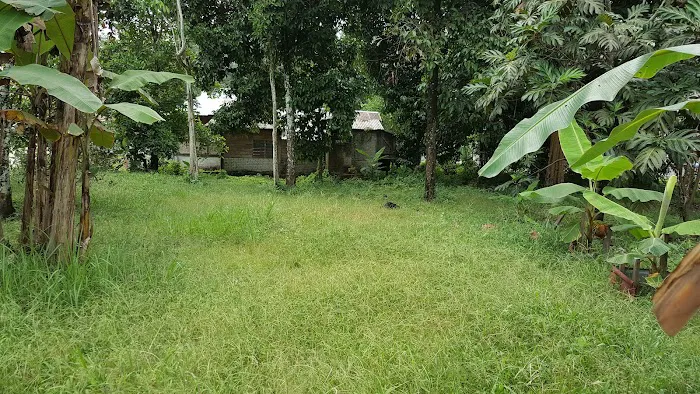 Homestay H & H Picture 5