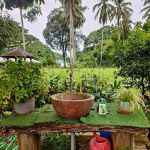 Warisan Campsite Chenor