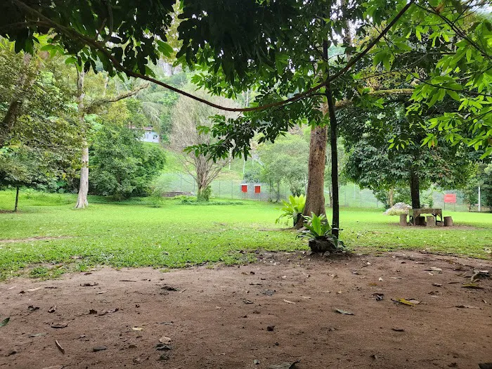 Dangau Jungle Herb Sauna & Taman Melawati Campsite Picture 7