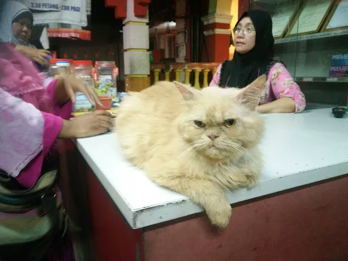 Rest House Bukit Resident Picture 2
