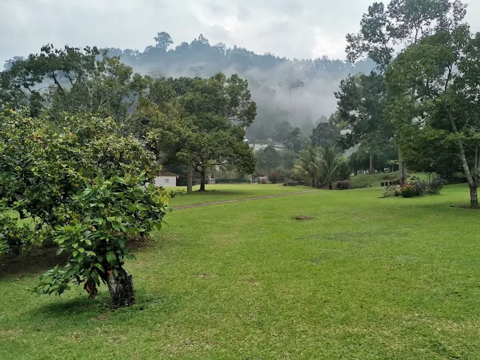House of Sen Bukit Tinggi Village Picture 8