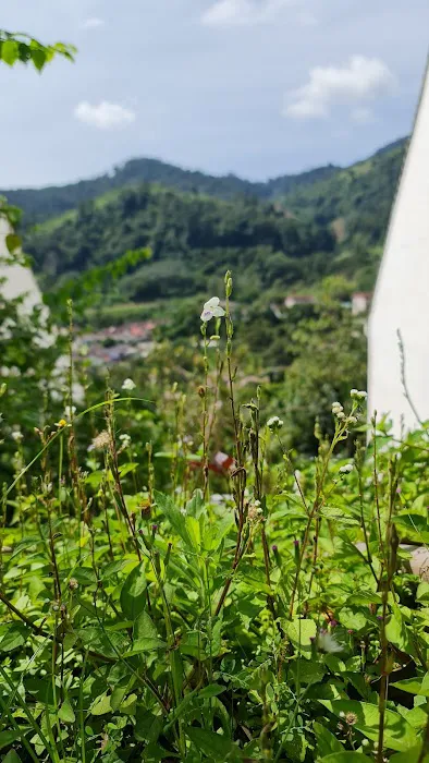 Exotic Homestay At Selesa Hillhome Picture 5