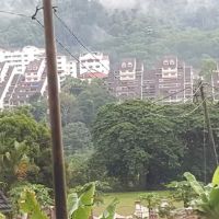 Genting Bukit Tinggi Homestay ico