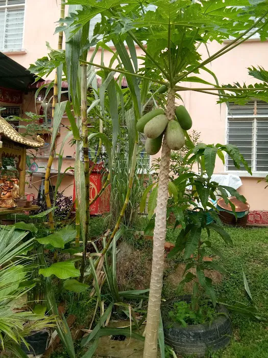 Genting Bukit Tinggi Homestay Picture 5
