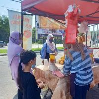 Kampung Teluk Piai ico