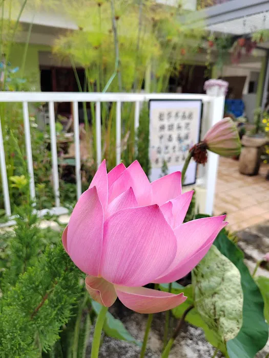 玄居楼 Sue_an Homestay Picture 3