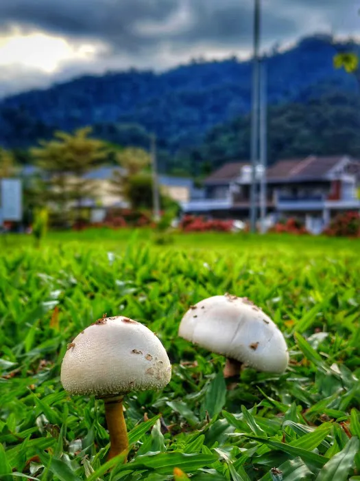 玄居楼 Sue_an Homestay Picture 5