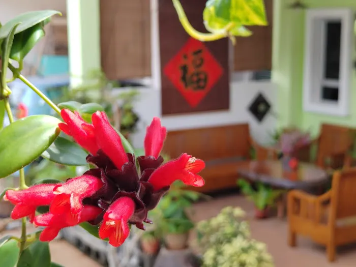 玄居楼 Sue_an Homestay Picture 7