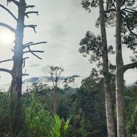 Auladuna Homestay ico