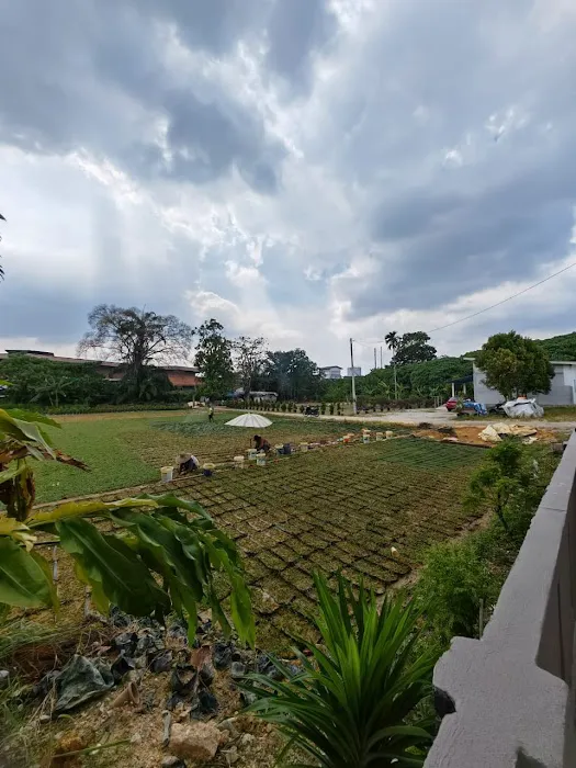 Bonda Homestay Sungai Buloh Picture 2