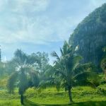 Taman Impian Jerantut pahang