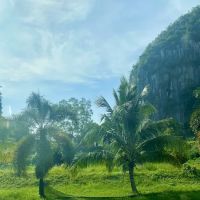 Taman Impian Jerantut pahang ico