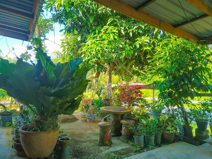 Homestay Kak Dah Jelawang Picture 7