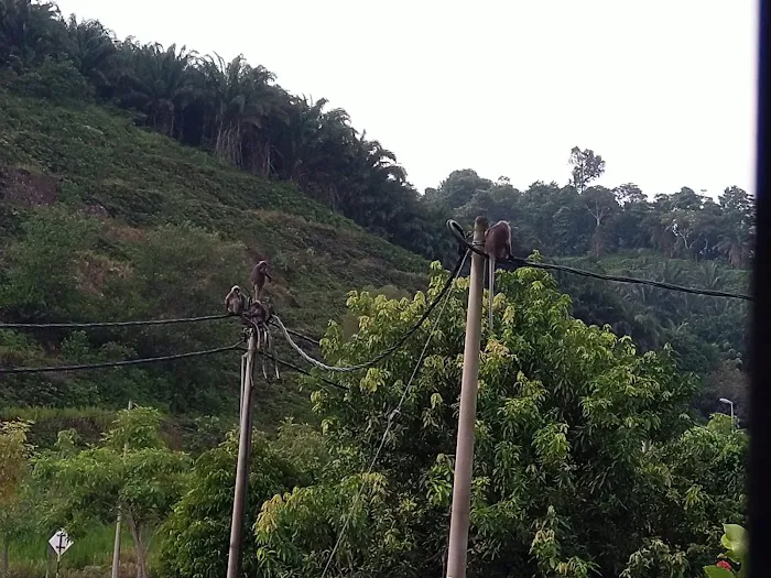 Hazanah's Homestay Puncak Alam Picture 9