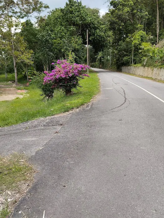Izzan ❤️ Musa No.19A, Kg Gagu, Ulu Teriang, 71600 Kuala Klawang, Jelebu, Negeri Sembilan Picture 1
