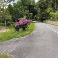 Izzan ❤️ Musa No.19A, Kg Gagu, Ulu Teriang, 71600 Kuala Klawang, Jelebu, Negeri Sembilan ico