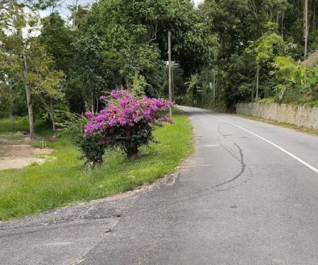 Izzan ❤️ Musa No.19A, Kg Gagu, Ulu Teriang, 71600 Kuala Klawang, Jelebu, Negeri Sembilan
