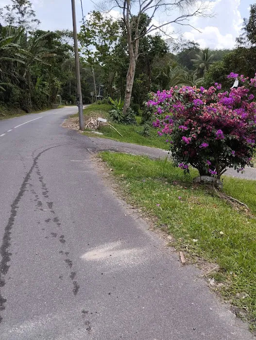 Izzan ❤️ Musa No.19A, Kg Gagu, Ulu Teriang, 71600 Kuala Klawang, Jelebu, Negeri Sembilan Picture 2