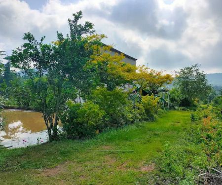 Binjai Valley @ Kg Binjai, Jerantut
