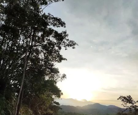 Kg Lata Pauh Sg Sok