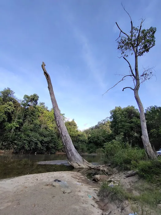 Kg Lata Pauh Sg Sok Picture 3