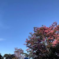 The Parc Tower, Setapak ico