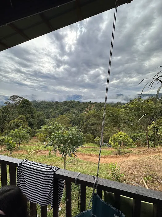 Pelantar Dusun Picture 7