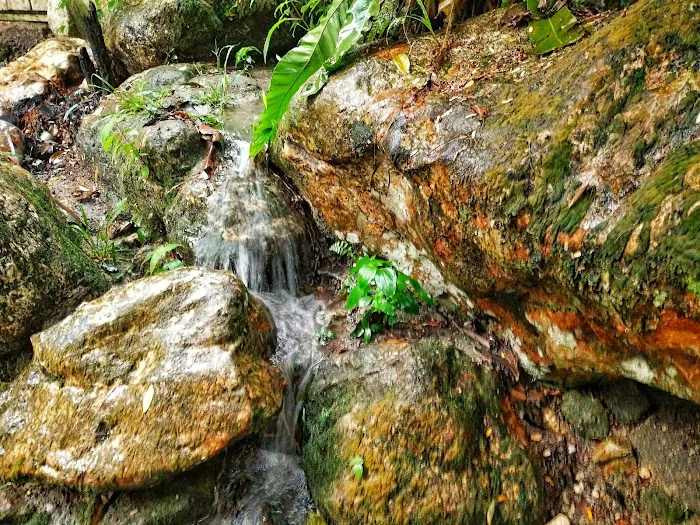 Chalet Rimba Jinbara Picture 1