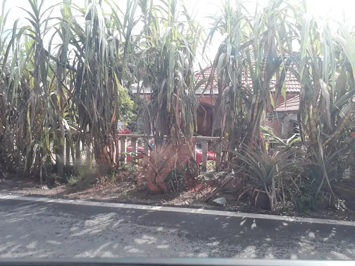 zaini homestay Picture 7