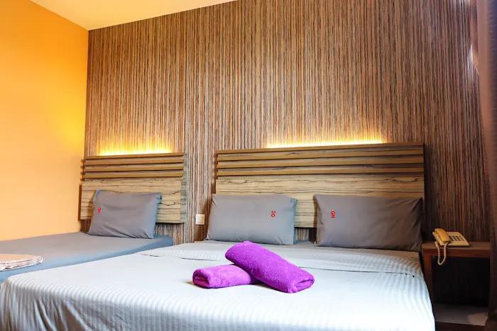 Classical Boutique Hotel Picture 2