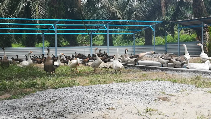 Banting MakAni Homestay Selangor Picture 1