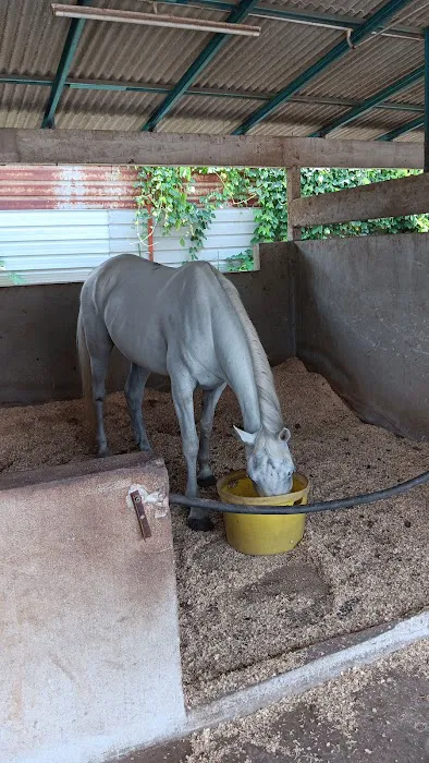 Klang Equestre Picture 1