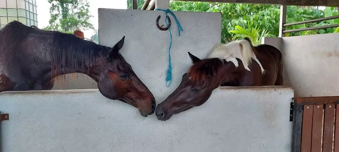 Klang Equestre Picture 3