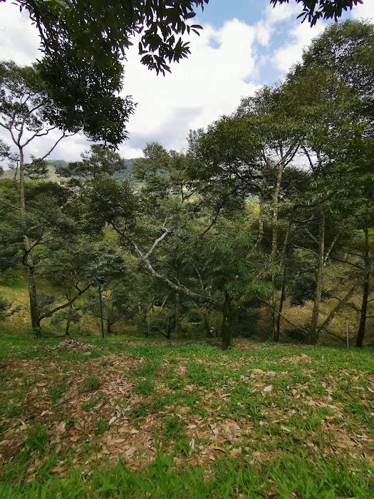 Rakuen Orchard Picture 3