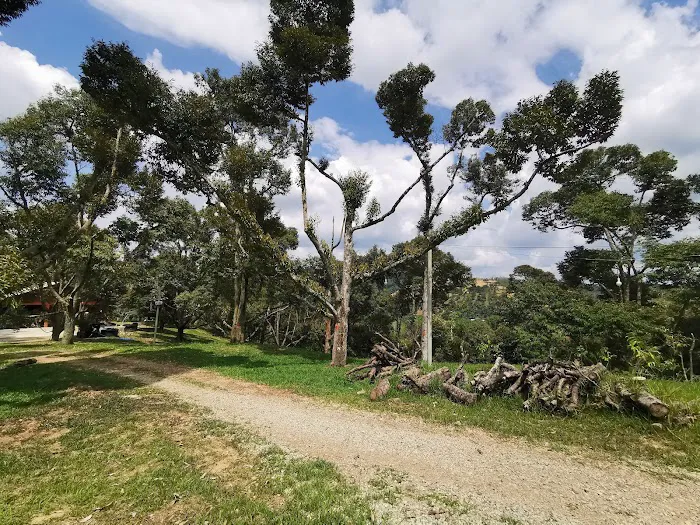 Rakuen Orchard Picture 2